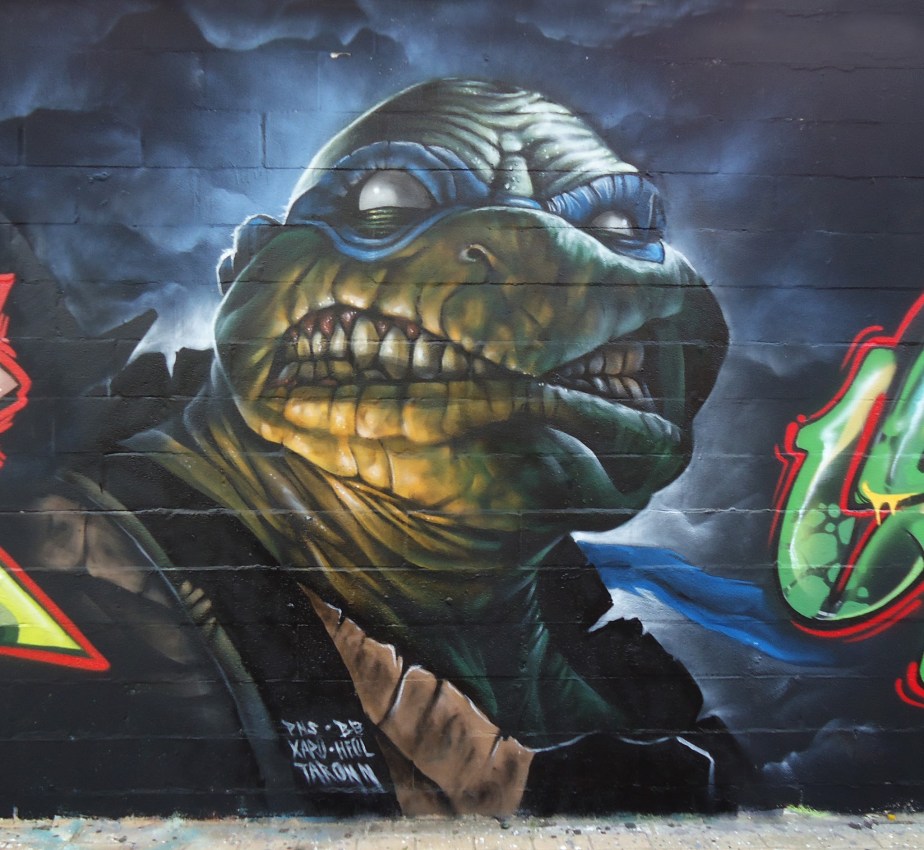 leonardo-chipiona-turttles